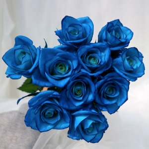 파란장미 꽃다발 생화택배